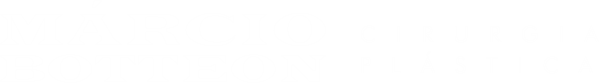logomarciobotteon2white